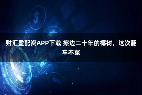 财汇盈配资APP下载 擦边二十年的椰树，这次翻车不冤
