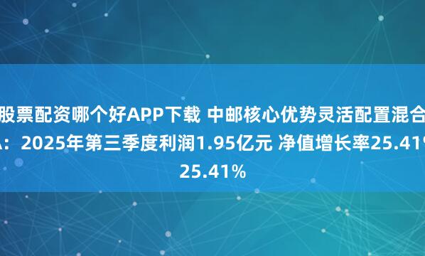 股票配资哪个好APP下载 中邮核心优势灵活配置混合A：2025年第三季度利润1.95亿元 净值增长率25.41%