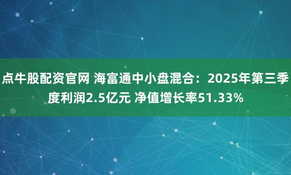 点牛股配资官网 海富通中小盘混合：2025年第三季度利润2.5亿元 净值增长率51.33%