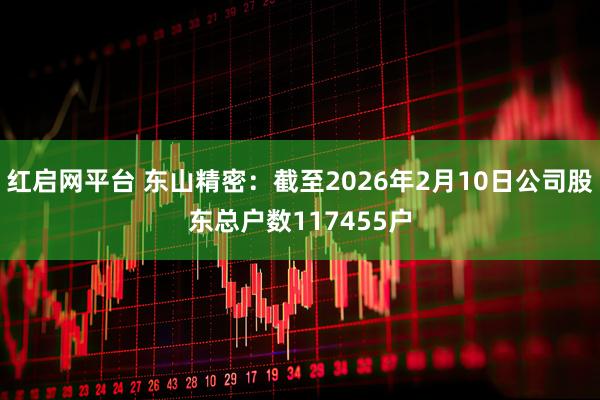 红启网平台 东山精密：截至2026年2月10日公司股东总户数117455户